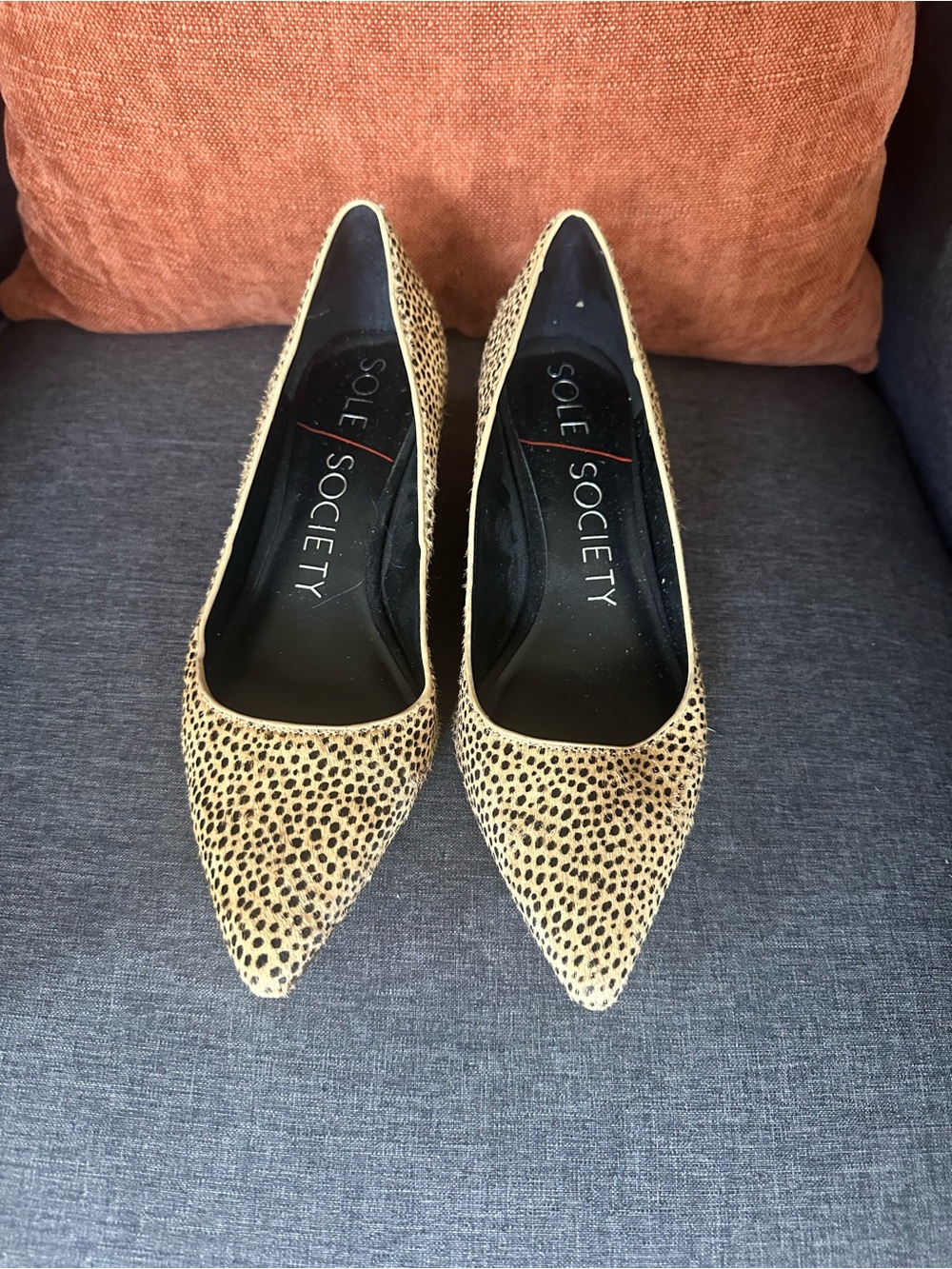 Sole Society Leopard Print Pointed-Toe Heels in Tan and Black